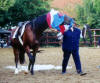 Shagya-Araber Hengst Basyl im August 2003