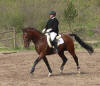 Basyl  - Eignungsprfung in Ssel 30. April 2005