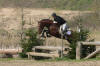 Shagya-Araber Deckhengst Basyl - Eignung mit Gelndeanteil - 30. April 2005