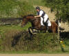 Shagya-Araber stallion Basyl at cross country competition in Suesel July 2006 - 3 place