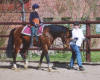 Basyl September 2003
