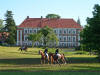 Güldenstein 2005 - Basyl abreiten zur Dressurprüfung Kl. A