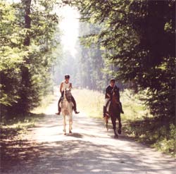 auf der Strecke - HLP-Distanzritt- Foto: Lenca-Merrit Huß